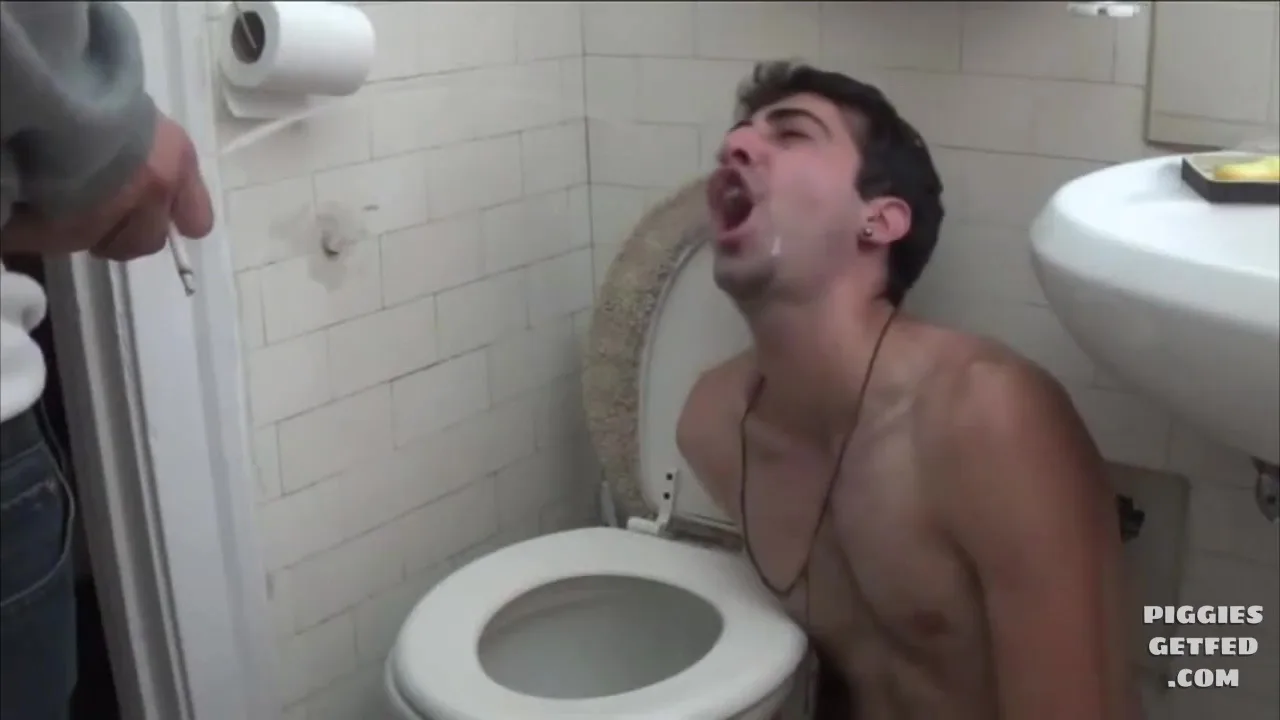 When an Alpha comes to visit