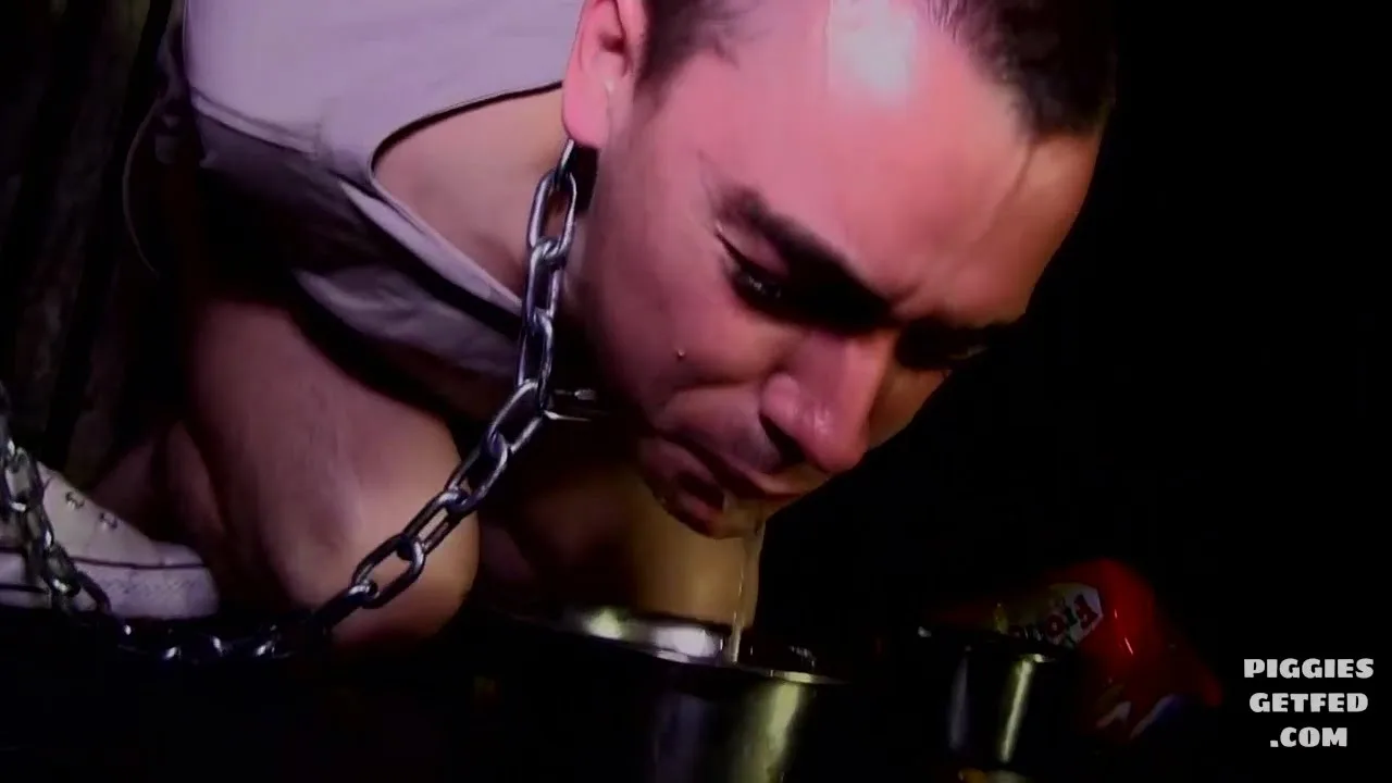 Feeding the caged dog