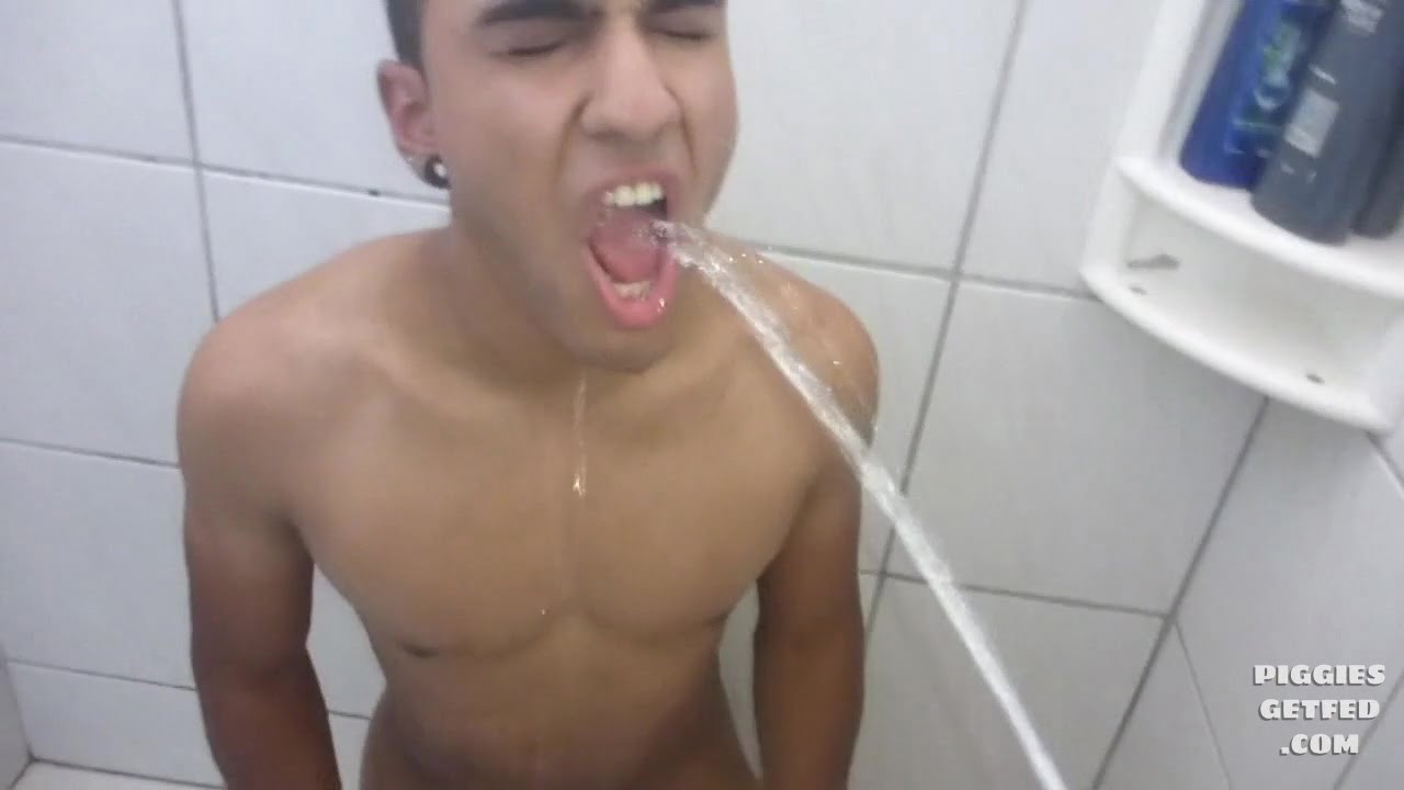 Young Brazilian pig toilet trained