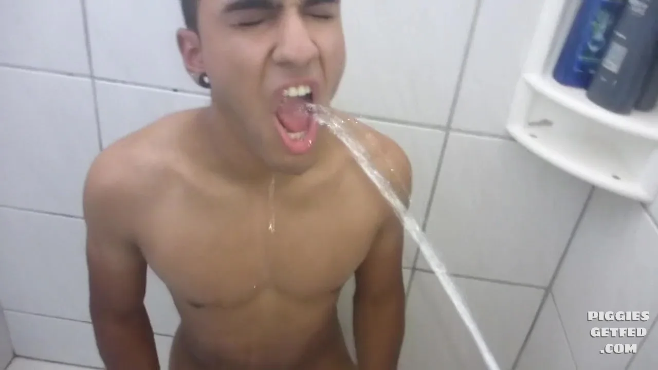 Young Brazilian pig toilet trained