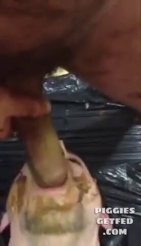 Stuff his mouth with a shitty cock