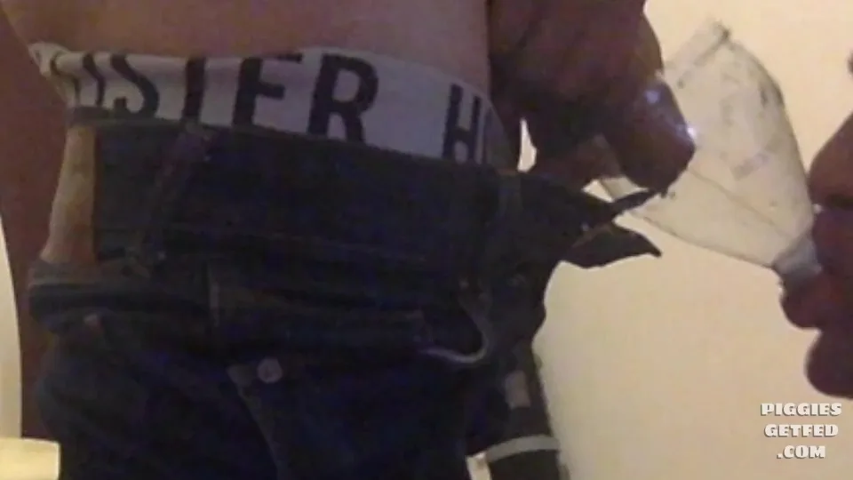 Puppy trained in toilet service