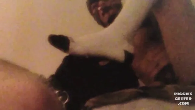 Sexy feeder dominates his toilet