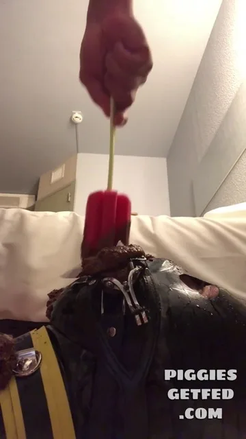 Bedside toilet service