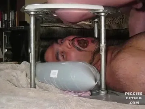 Testing the toilet pig