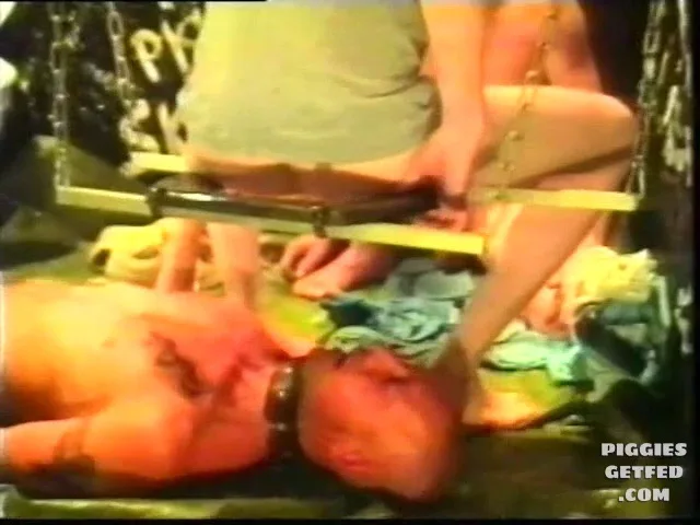 One shit pig trains another