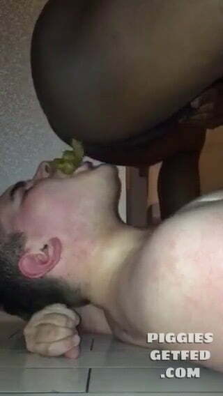 White boy eats sloppy shit from black feeder