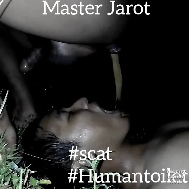 Fed outside at night