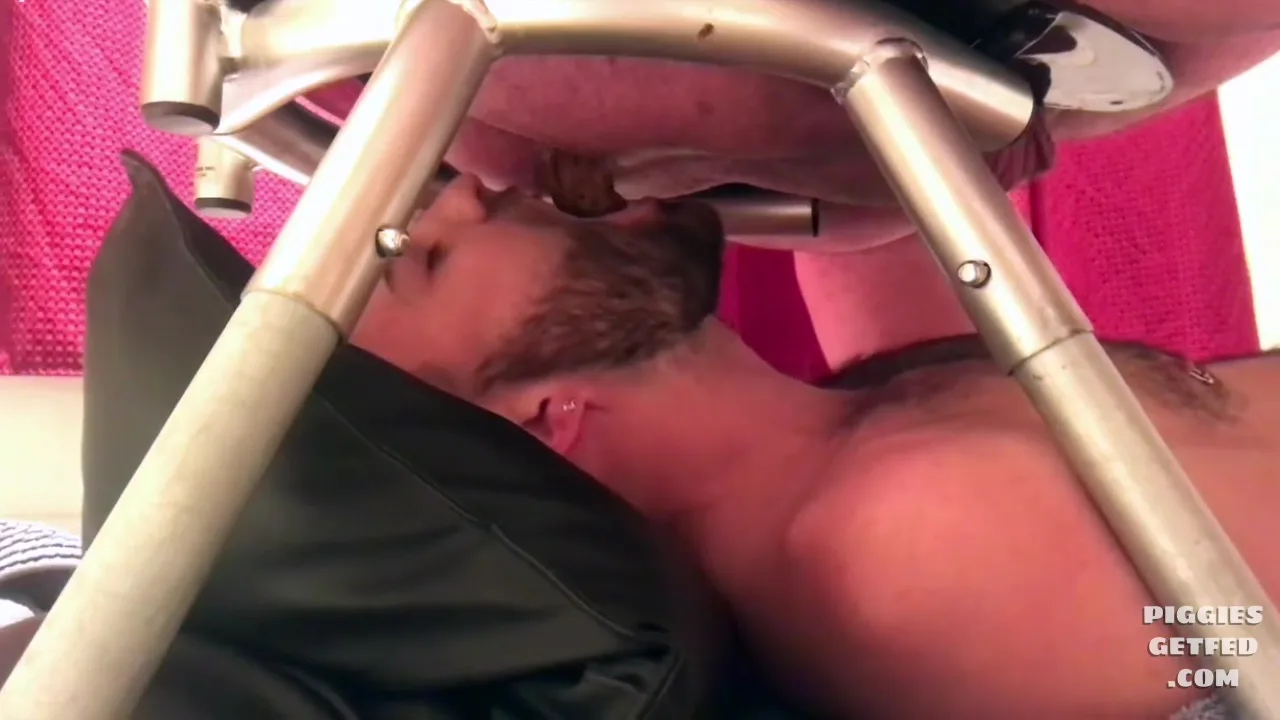 Big dump for the toilet’s stomach