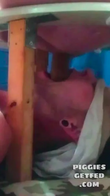 Verbal dude feeds his bro