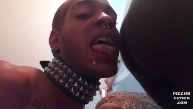 Collared femboy sucks farts and licks shit