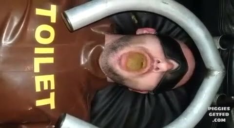 Fat turd for toilet