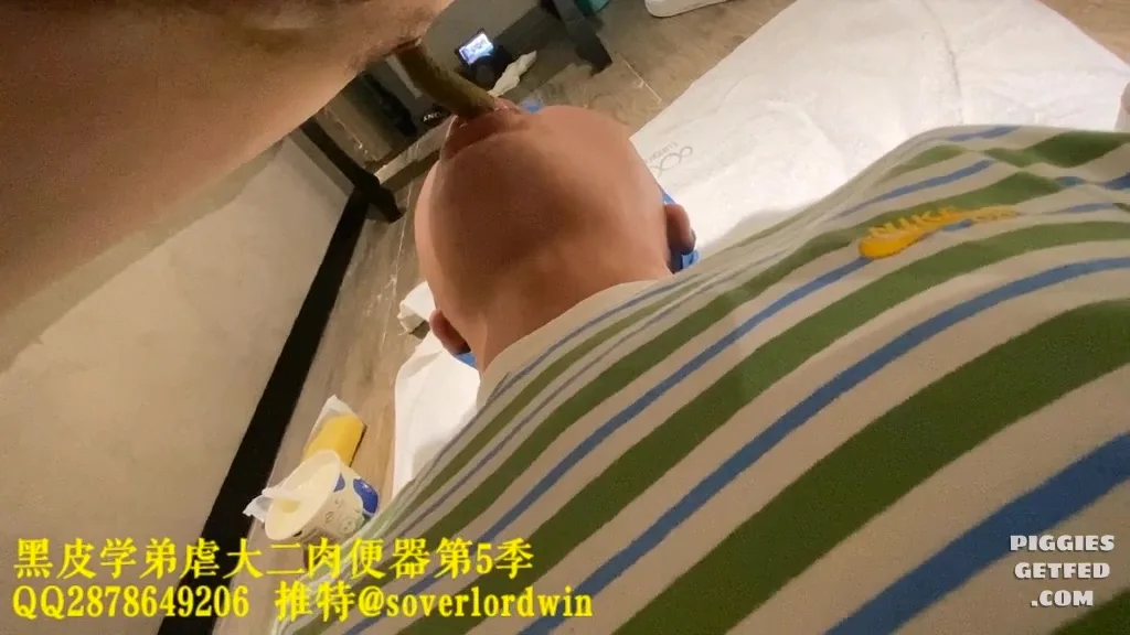 Filling the pig slave’s stomach