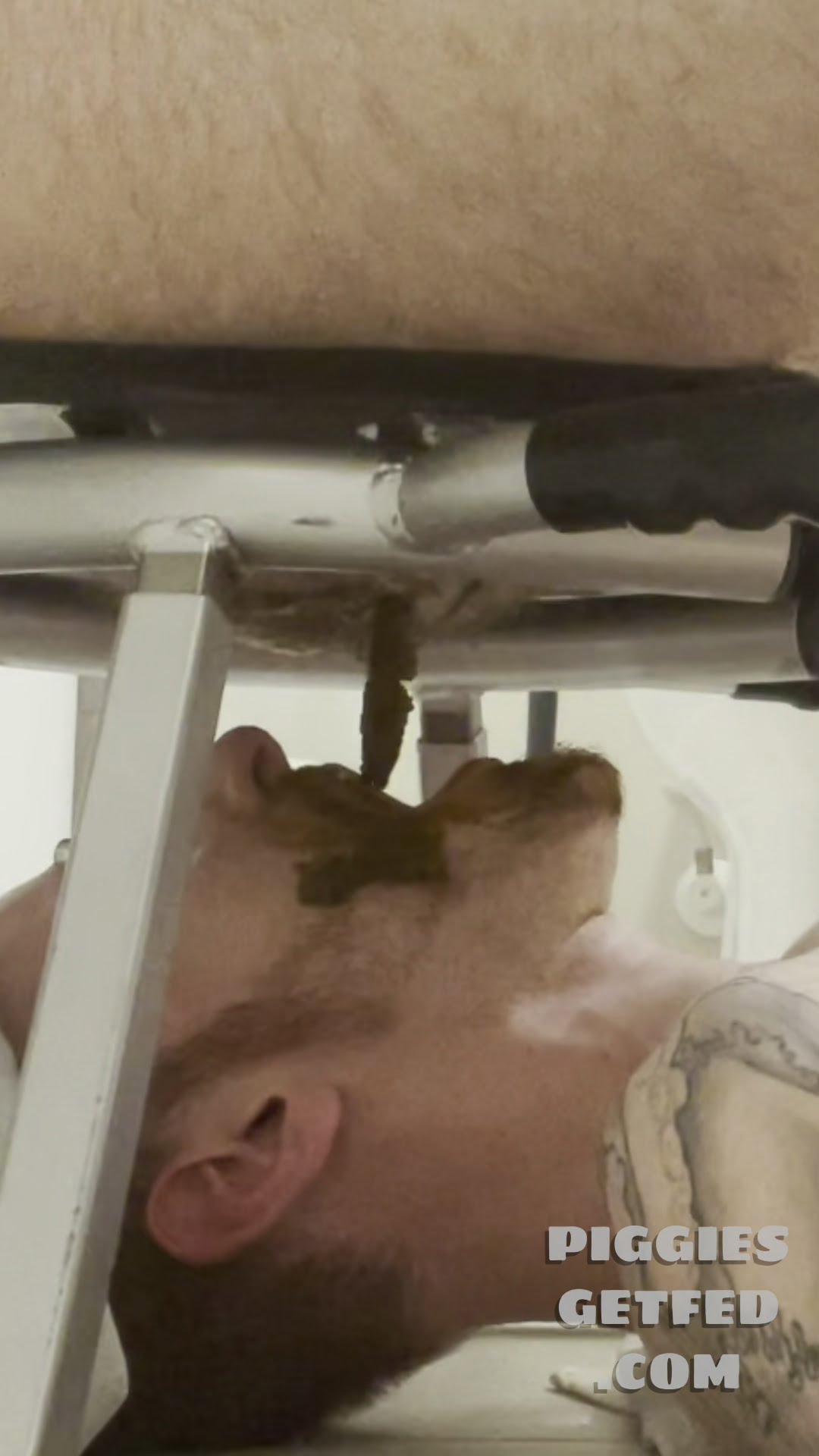Filthy pig eats shit