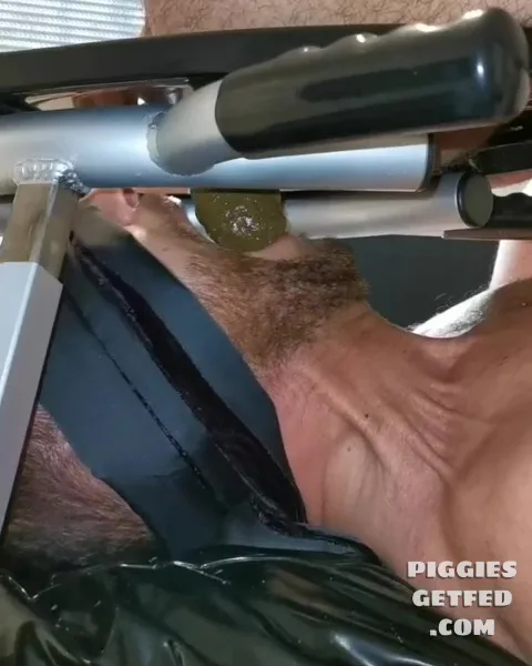 Testing a new toilet