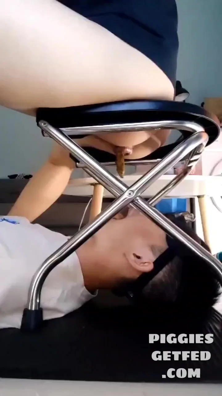 Hungry dog eats shit