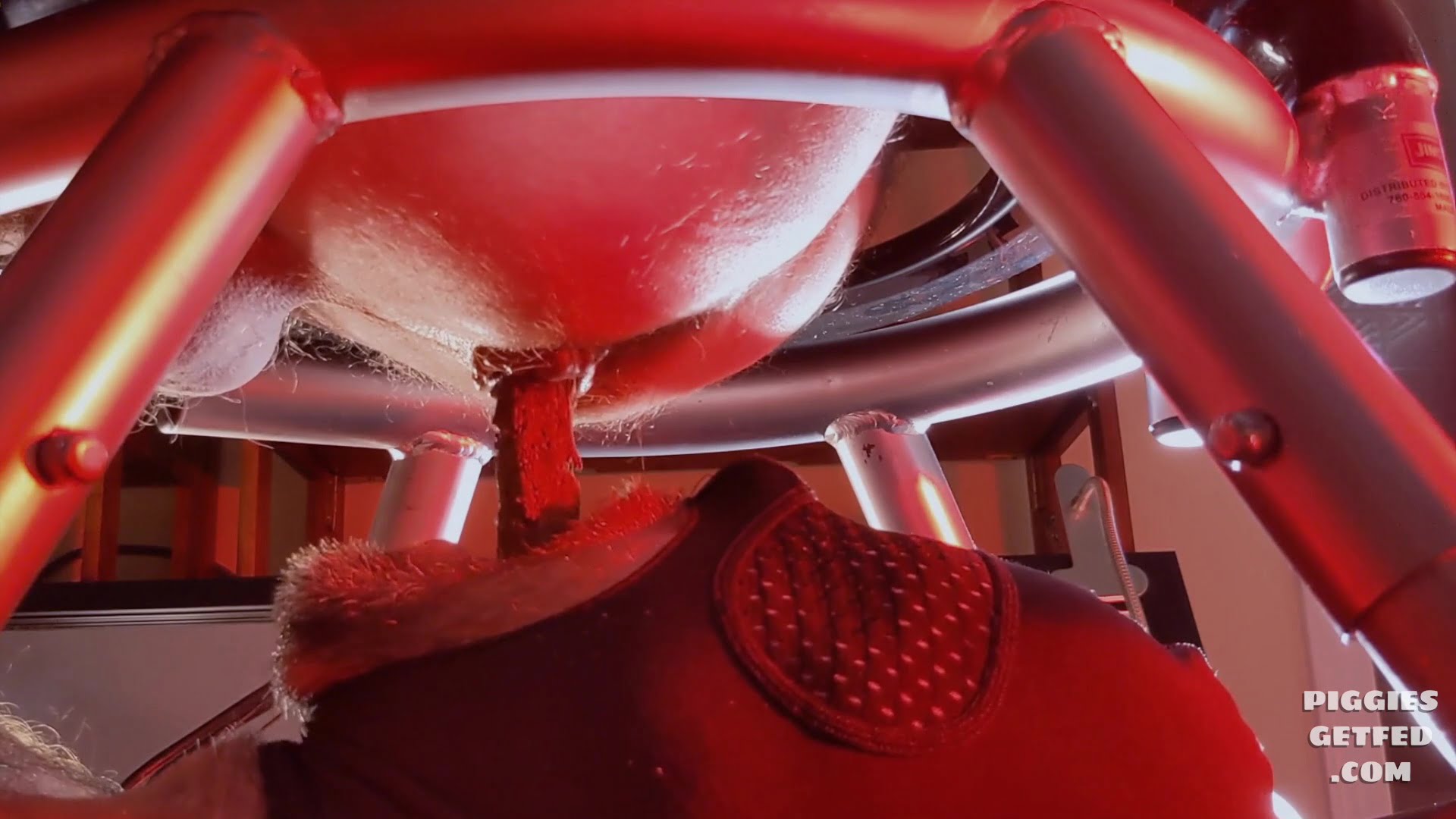 Big dump for the toilet to swallow