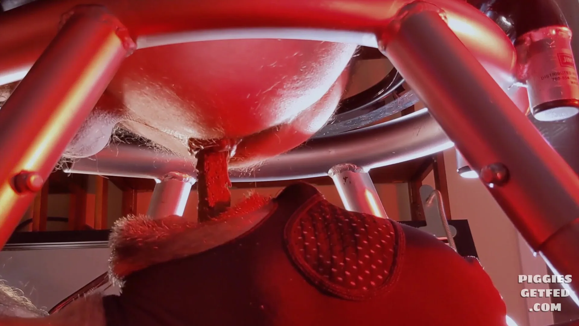 Big dump for the toilet to swallow