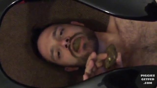 Filming the pig swallowing his shit