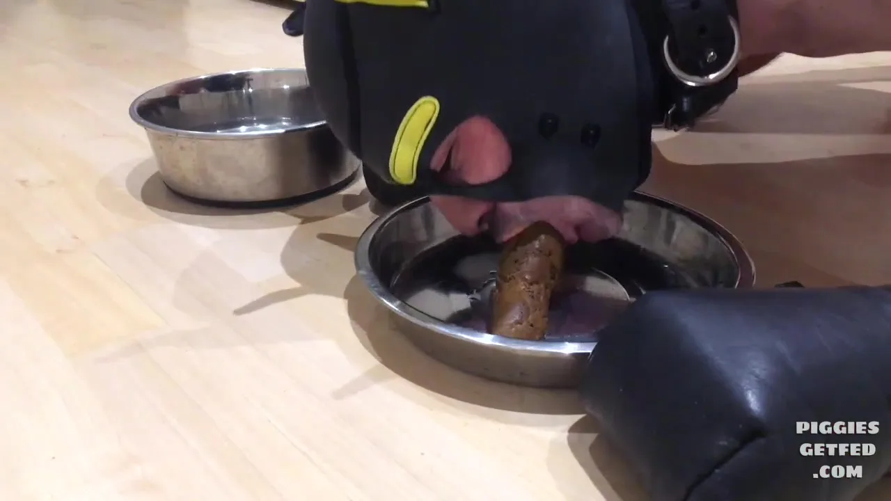 Faggot feeding challenge