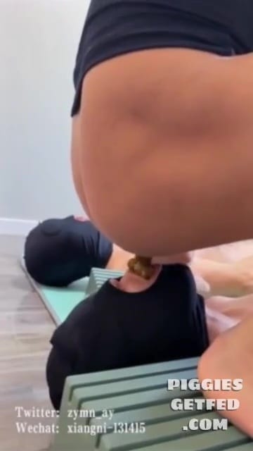 Two shit-eating toilets